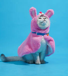 Cute Rabbit Cape