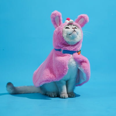 Cute Rabbit Cape