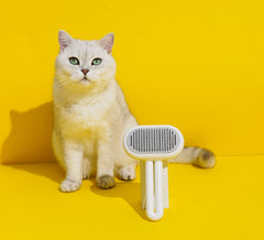 Capsule-Shaped Pet Massage Grooming Brush