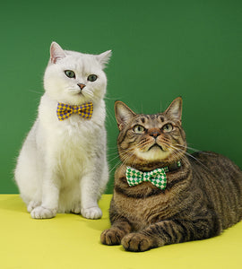 Checked Pet Collar