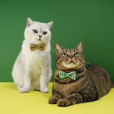 Checked Pet Collar