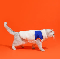 Winter Warmth High-Necked Pet Vest
