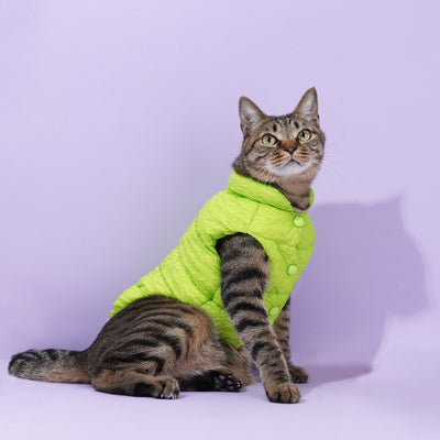 Stylish Neon Cotton Clothing and Scarf