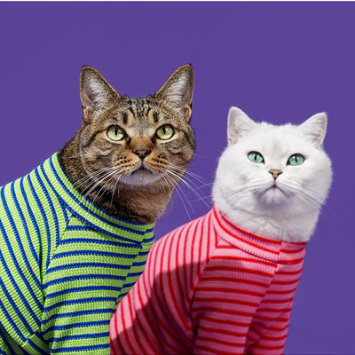 Striped Winter Warmth Base Shirt