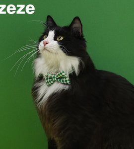 Checked Pet Collar