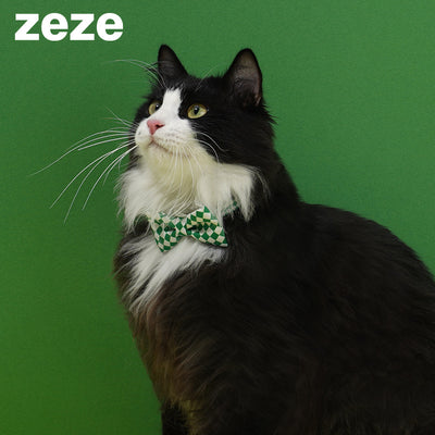 Checked Pet Collar