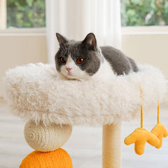 Cluck Chicken Cat Platform Tree
