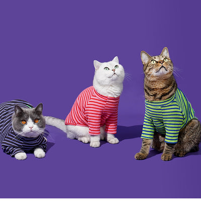 Striped Winter Warmth Base Shirt