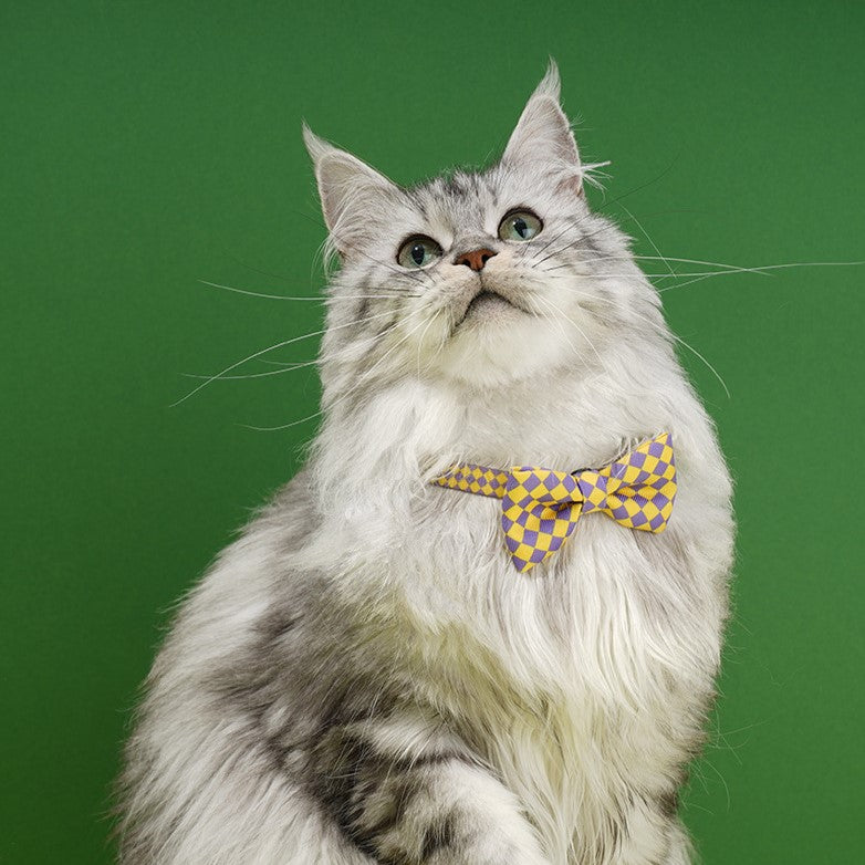 Checked Pet Collar