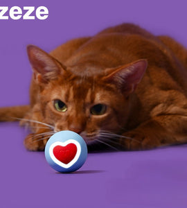 Heart Ball！！