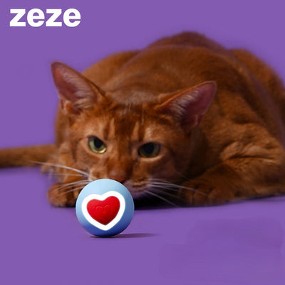 Heart Ball！！