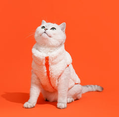 Winter Warmth High-Necked Pet Vest