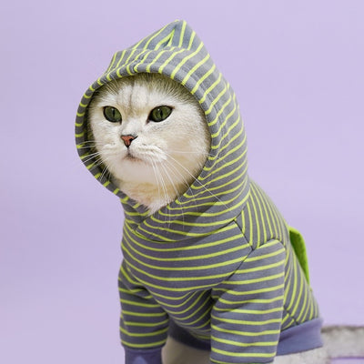 Striped Hooded Pet Hoodie