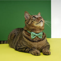 Checked Pet Collar