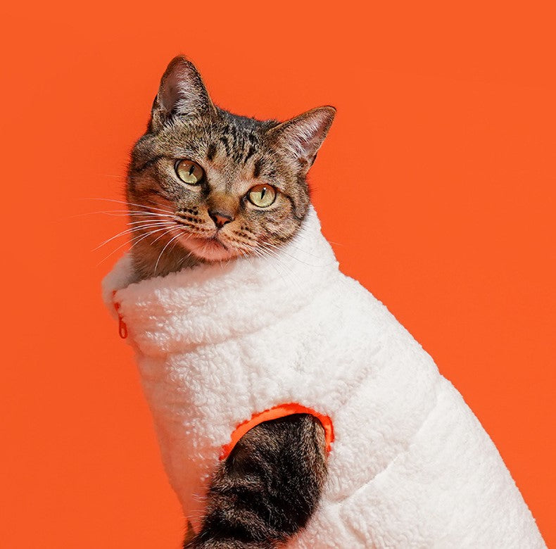 Winter Warmth High-Necked Pet Vest