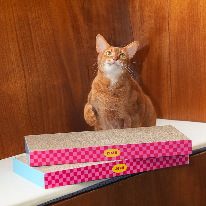 ZEZE Neon Sweetheart 1.6-in Cardboard Paper Cat Toy Scratcher