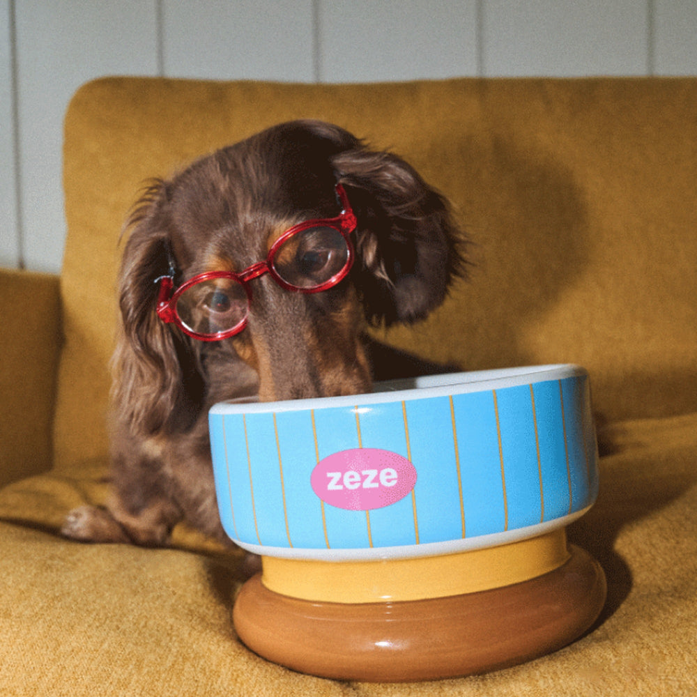 ZEZE Retro Stripe Elevated Ceramic Dog & Cat Bowl, Blue, Large: 6-cup