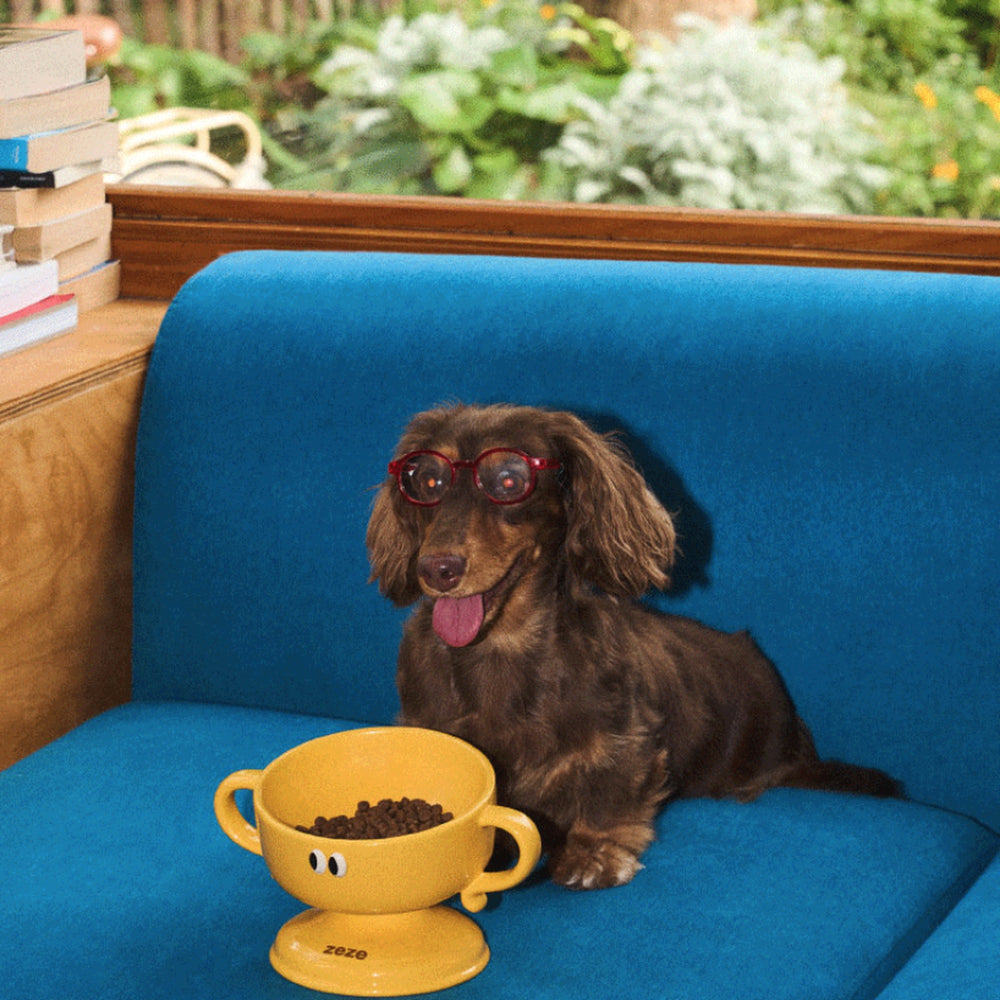 ZEZE Trophy Elevated Ceramic Dog & Cat Bowl with Side Handles, Yellow, Large: 6-cup
