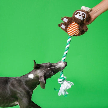 ZEZE Shuala Sloth Crinkle Rope Toy