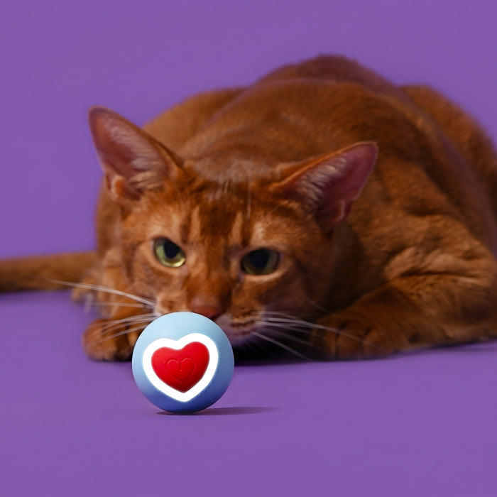 ZEZE Sweetie Smart Auto Rolling LED Heart Light USB Rechargeable Electronic Cat Ball Toy, Blue