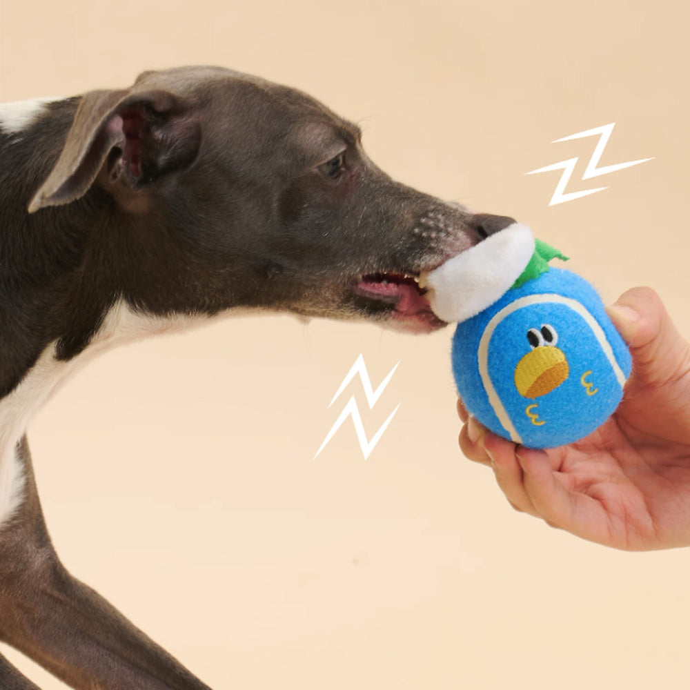 ZEZE Bruno the Sailor Plush Tennis Squeaky Ball Dog Toy, Blue