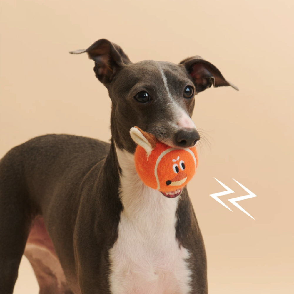 ZEZE Zorro the Fox Soft Fetch Plush Tennis Squeaky Ball Small & Medium Dog Toy, Orange