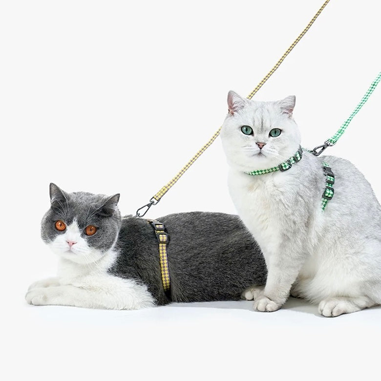 ZEZE Plaid Pet Leash - Green