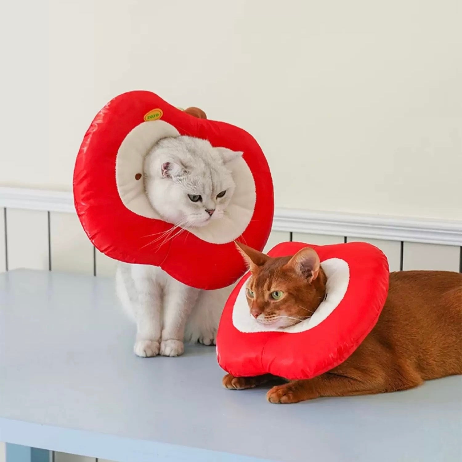 ZEZE Apple Pet Recovery E Collar