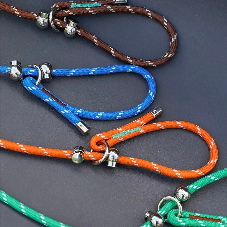 ZEZE NewNew Dog Leash - Green