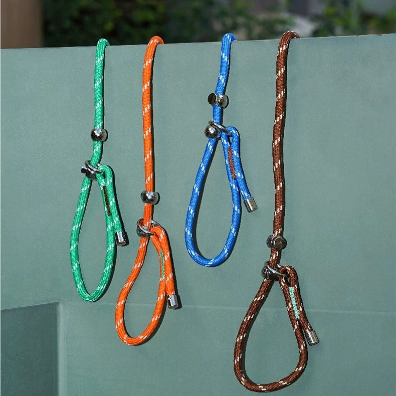 ZEZE NewNew Dog Leash - Green
