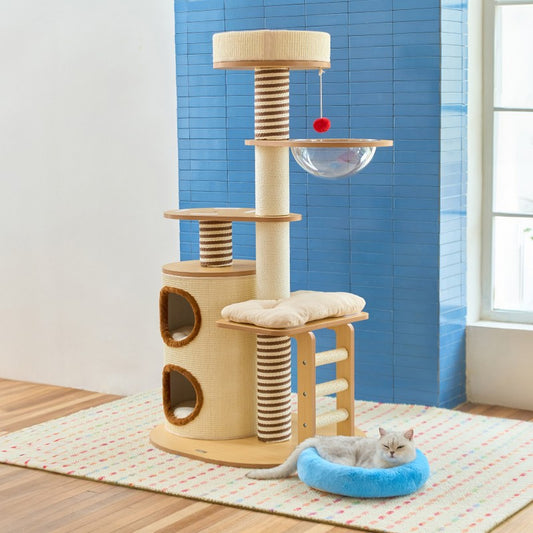Double barrel cat tree against a blue wall with a cat on a donut bed