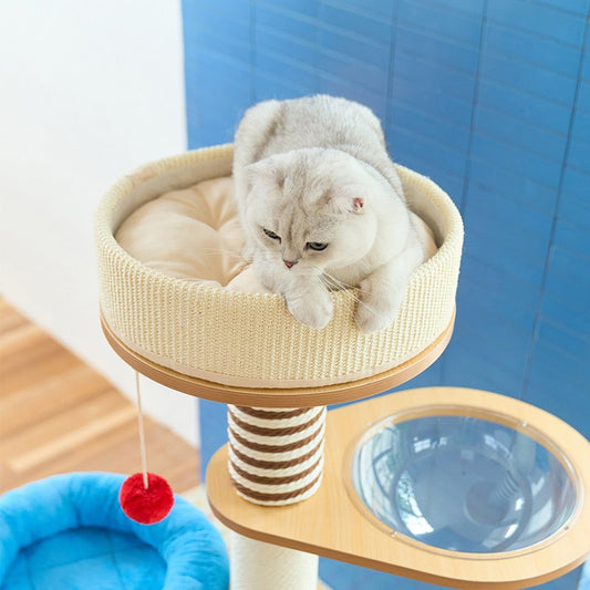 Cat peeking over the cushioned top perch next to the clear bowl