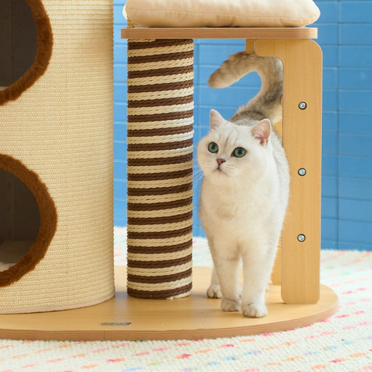 Cat standing beside the rope-wrapped post and barrel condo