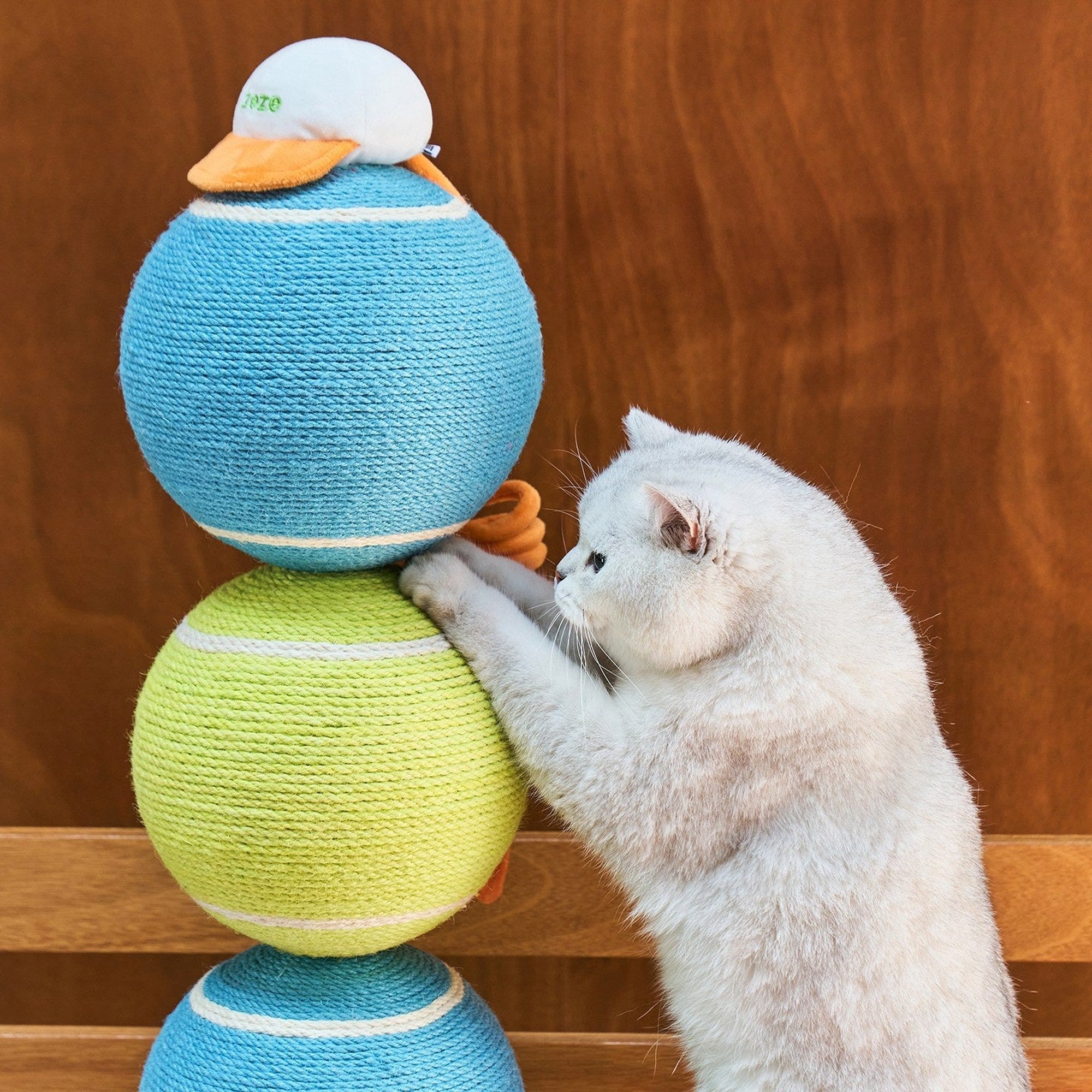 Cat pawing the rope-wrapped tennis balls