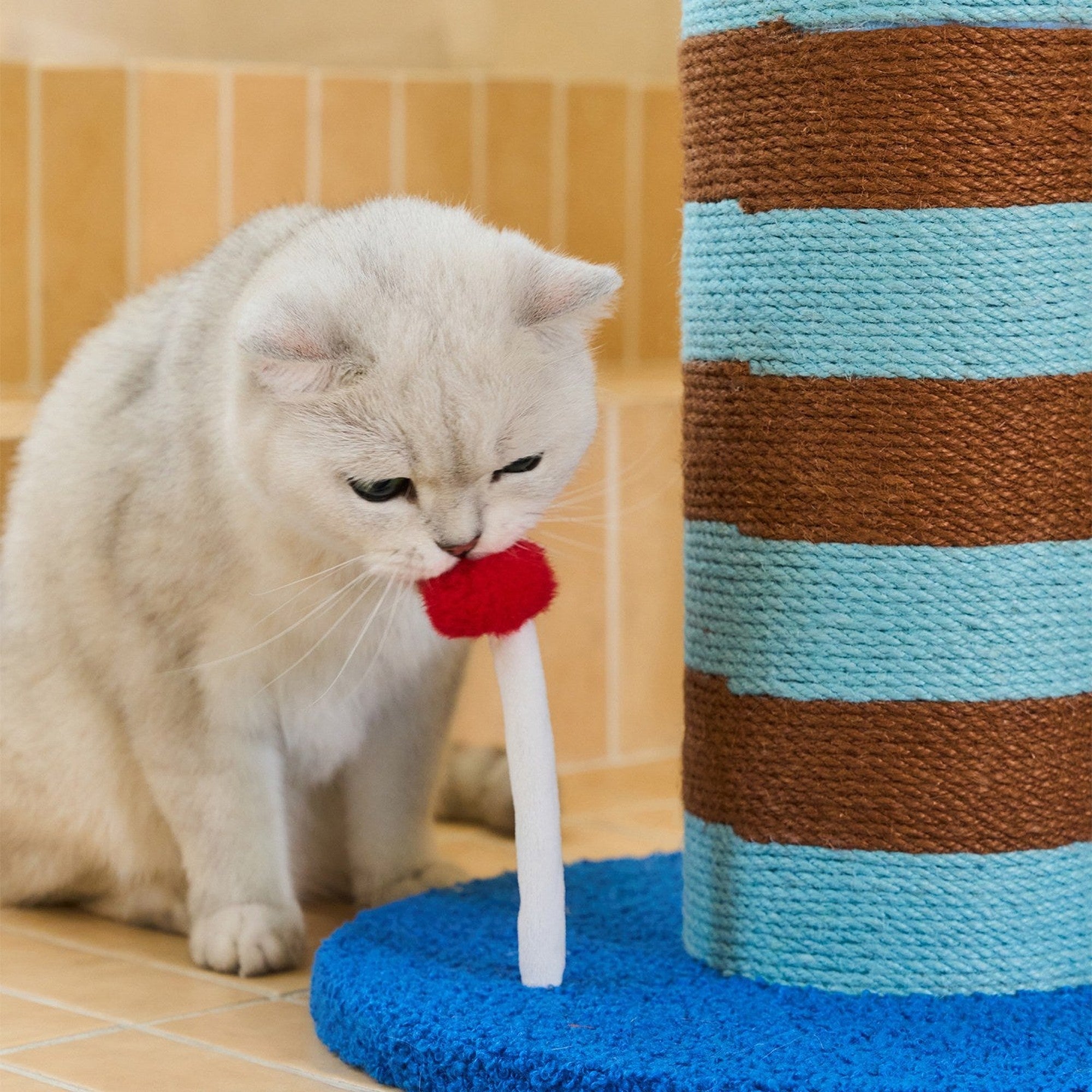 ZEZE Birthday Candle Scratching Post - Sea Salt