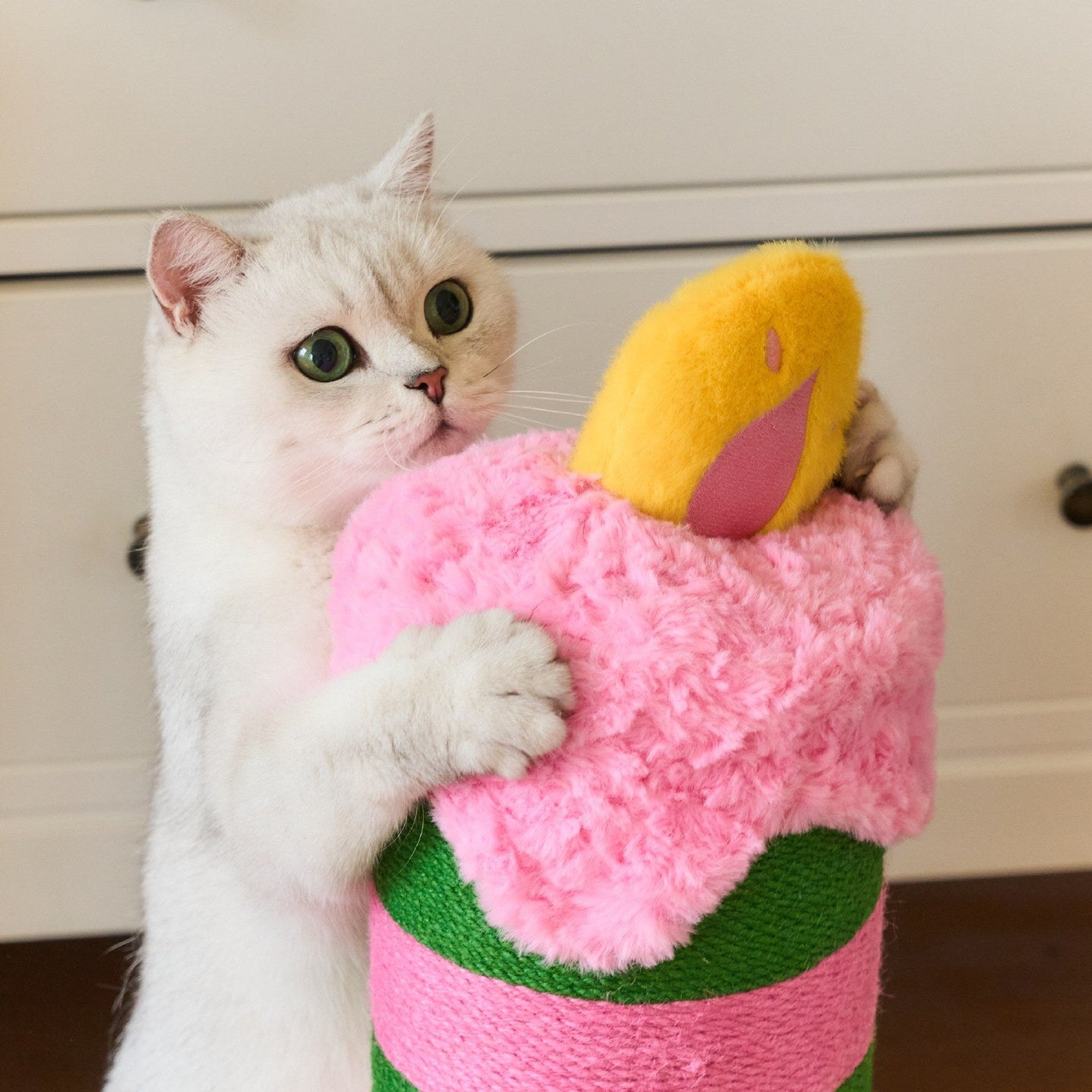 ZEZE Birthday Candle Scratching Post - Neon Sweetheart