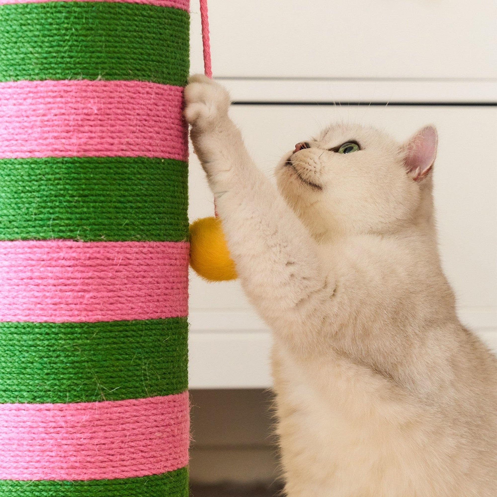 ZEZE Birthday Candle Scratching Post - Neon Sweetheart