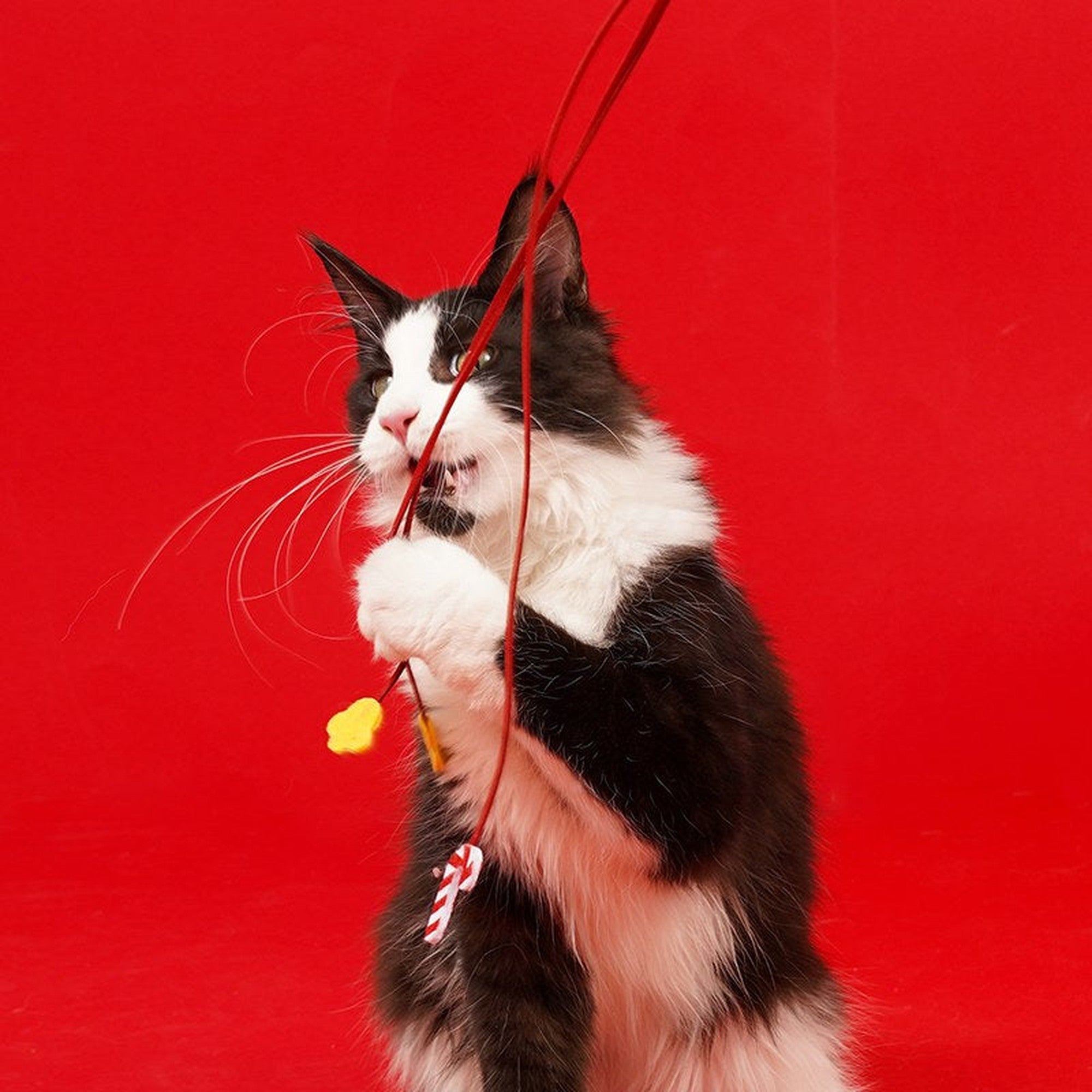 ZEZE Christmas Cat Teaser Wand - Snowman