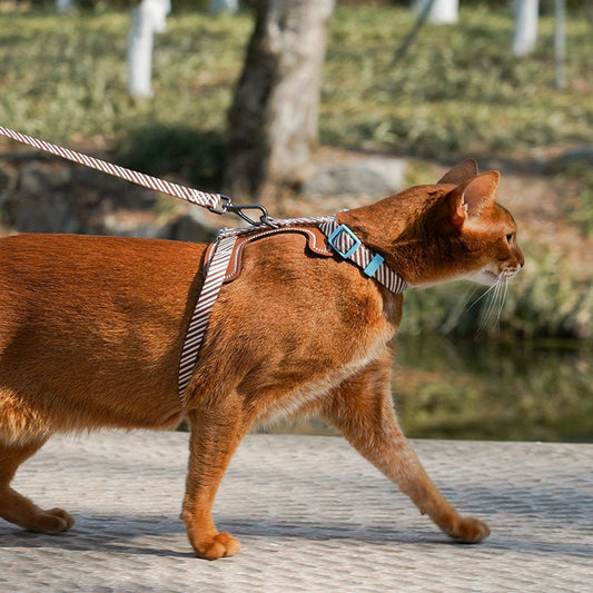 Cat walking outdoors in the ZEZE Cocoa Stripe harness and leash