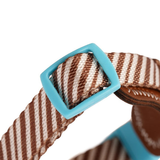 Close-up of the striped webbing and aqua slide adjuster