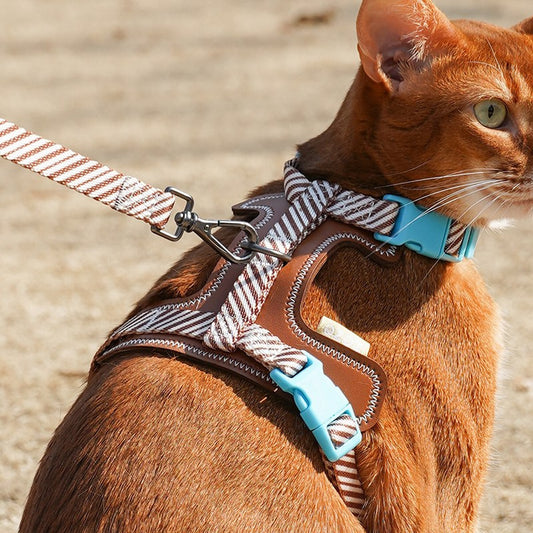 Cat wearing the striped H-style harness with PU leather back panel