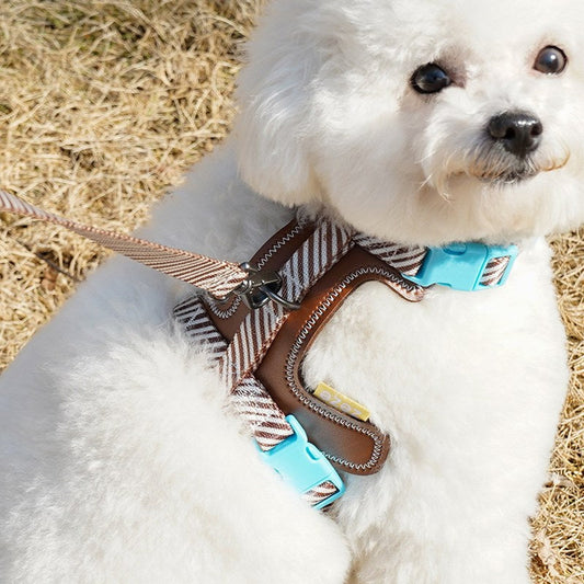 Small dog wearing the Cocoa Stripe harness with aqua buckle