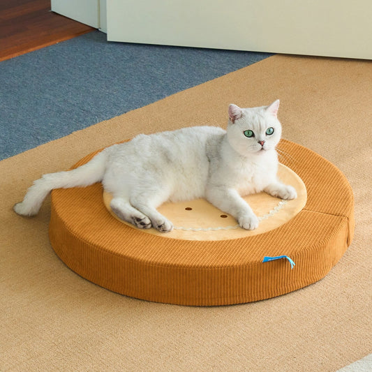 White cat on the Cookie Lounge flat mat