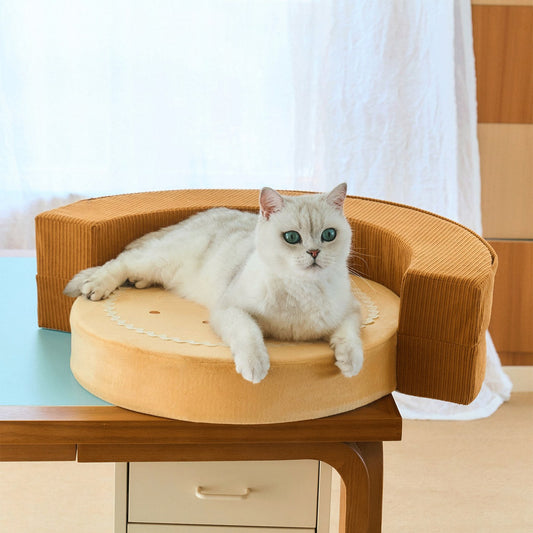 White cat in the folded ZEZE Cookie Lounge pet sofa