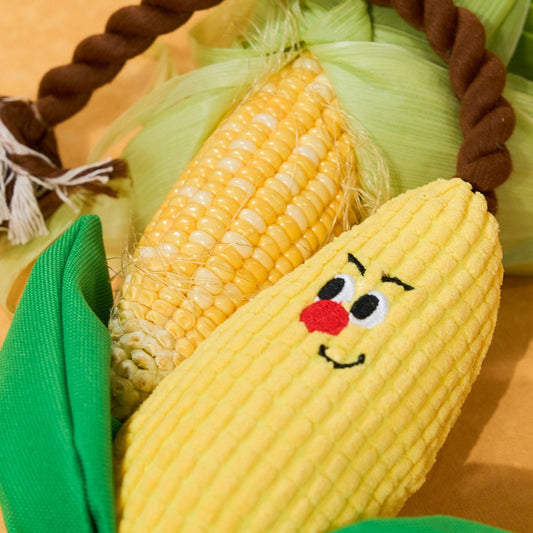 Close-up of Corny's corduroy kernels and smiling face