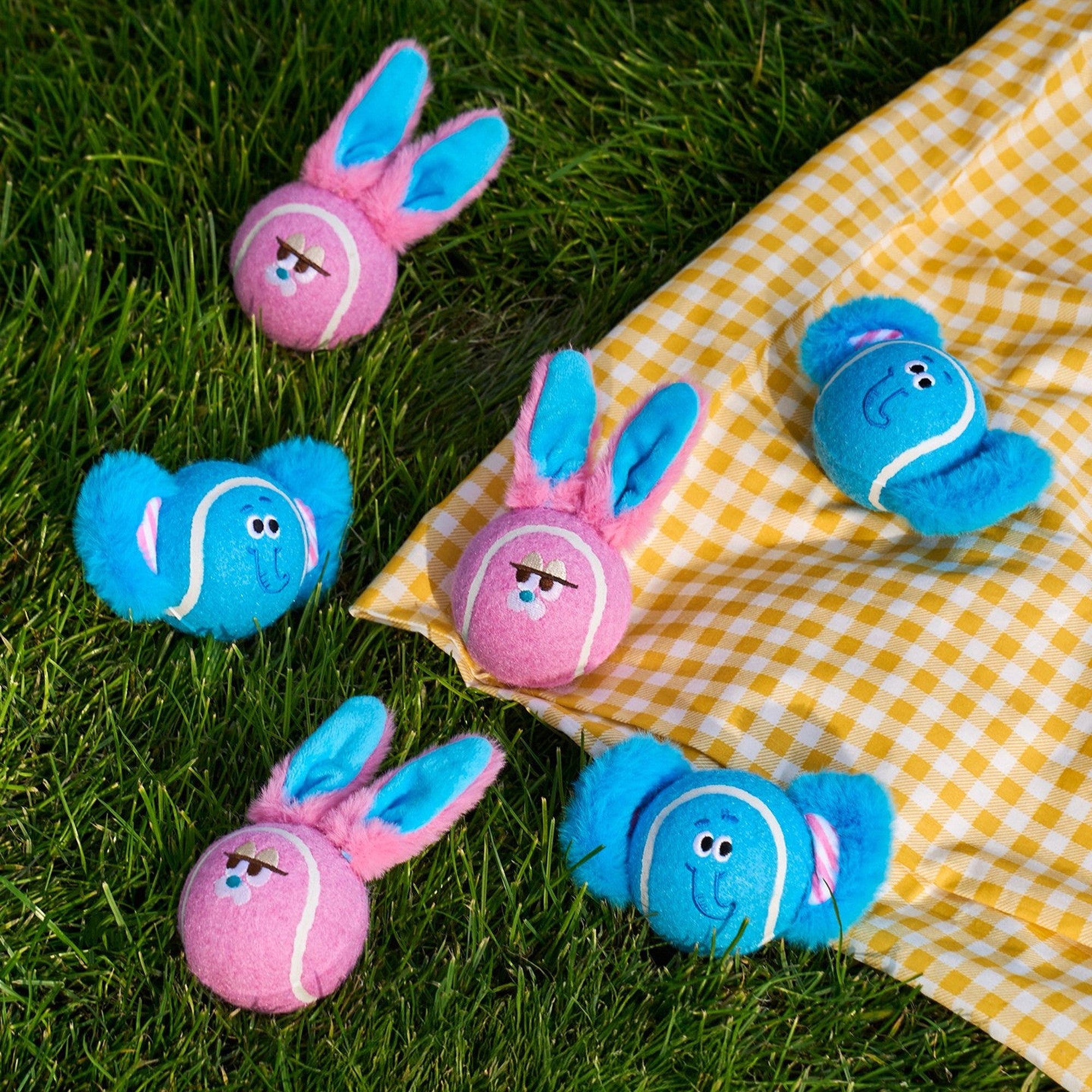 Dottie and Bonnie tennis ball toys on a picnic blanket in the grass