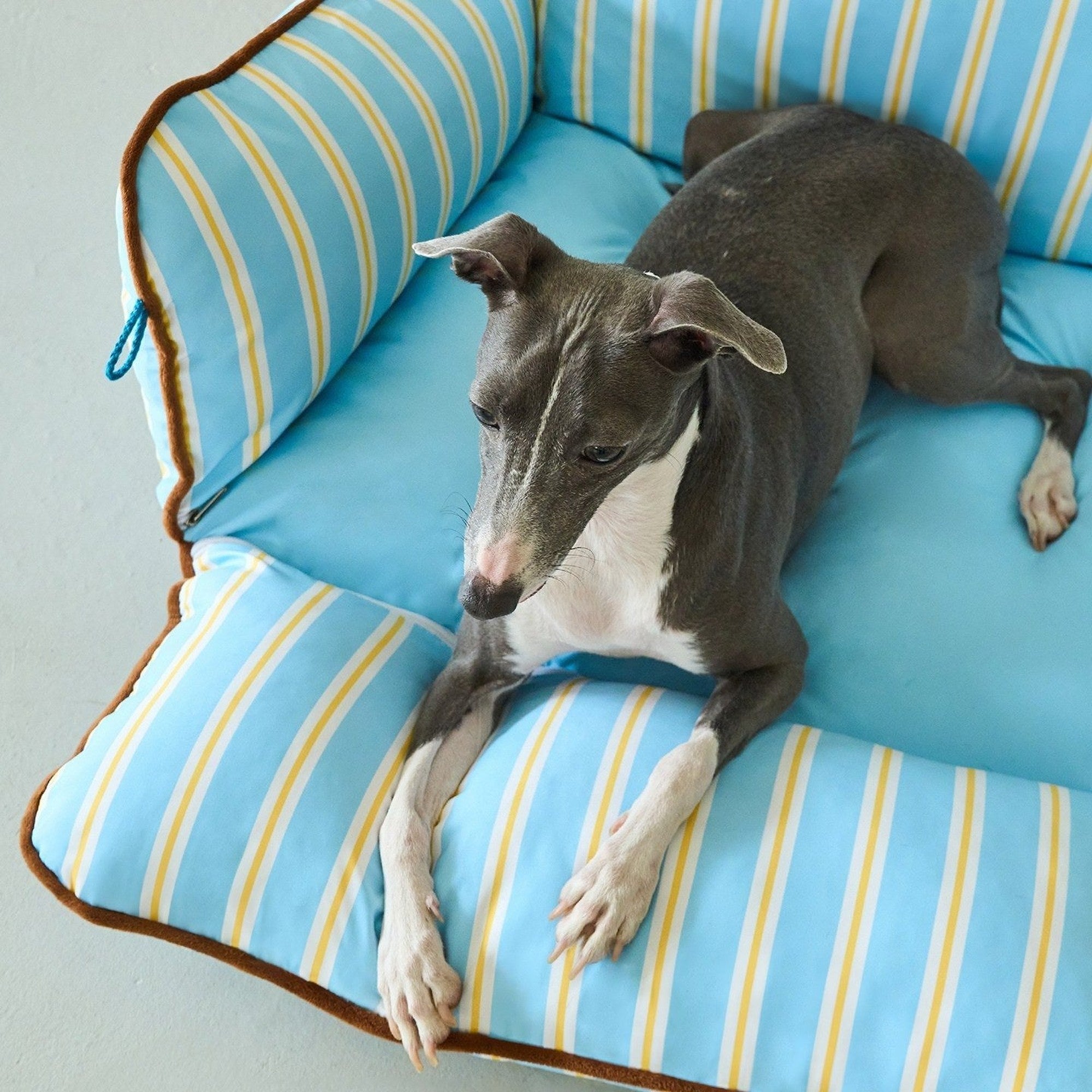 ZEZE Extendable Striped Pet Sofa - Twinkle Star