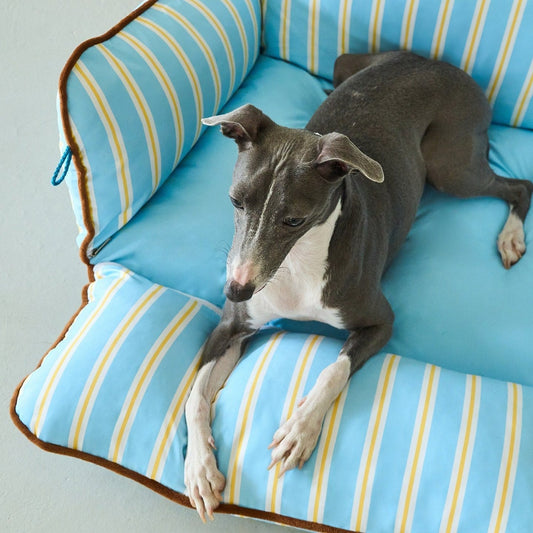 ZEZE Extendable Striped Pet Sofa - Twinkle Star