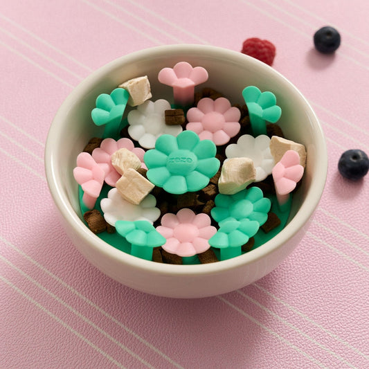 Flower insert in a bowl with kibble and treats