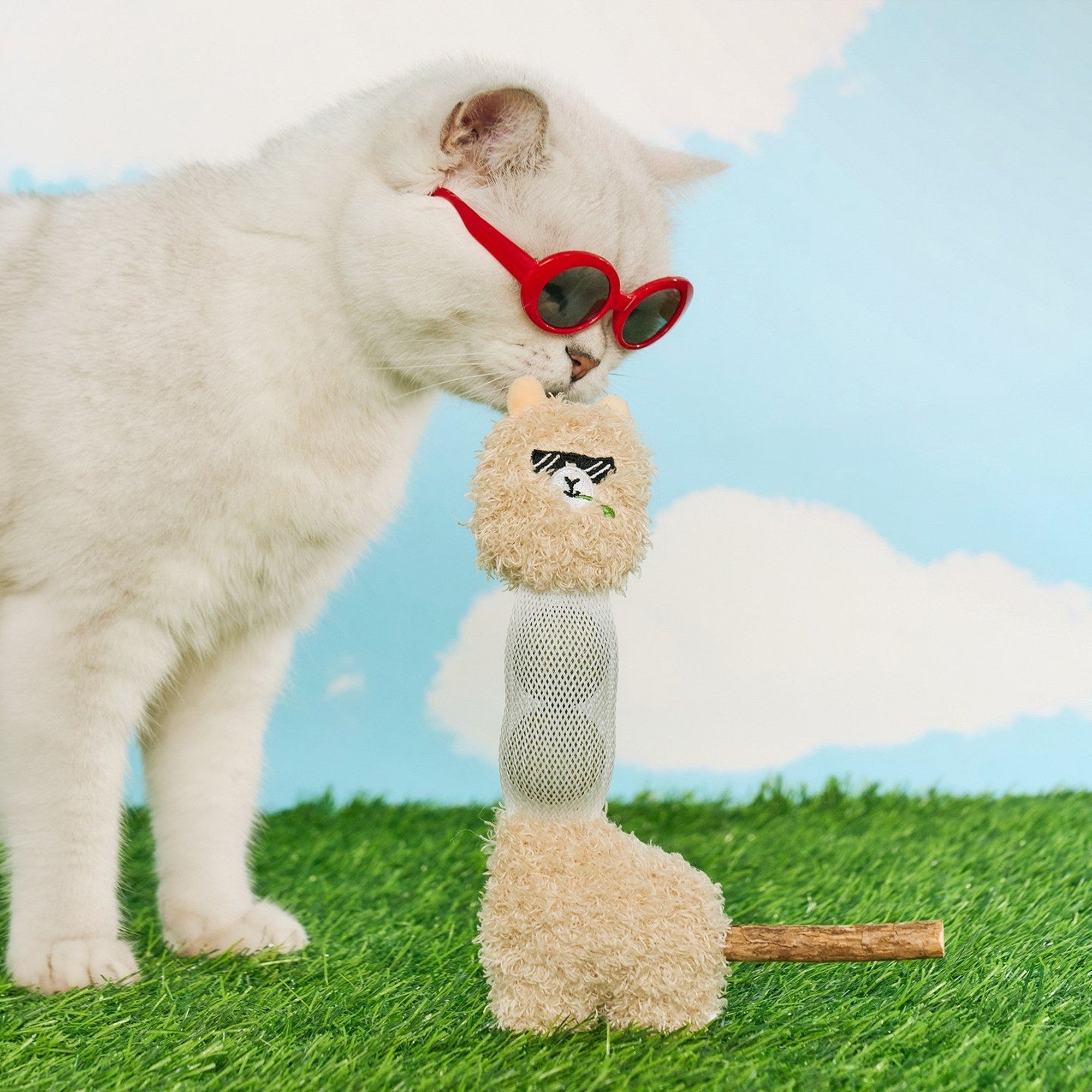 Cat in sunglasses sniffing the alpaca kicker toy
